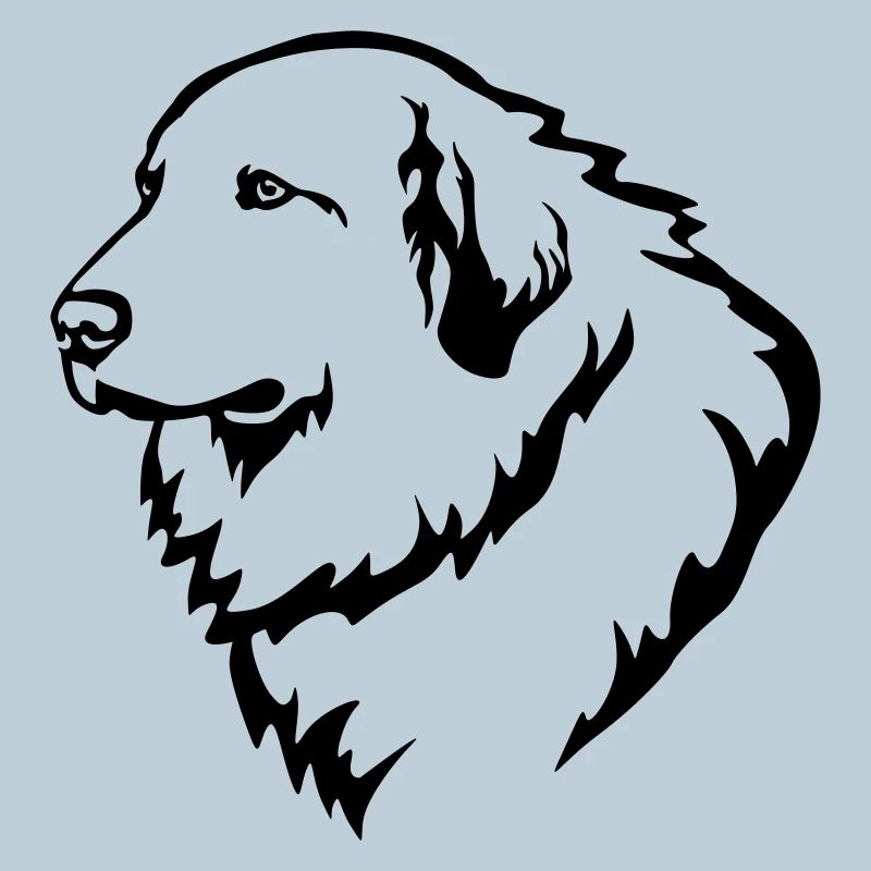 Pyrenean Mountain Dog Head