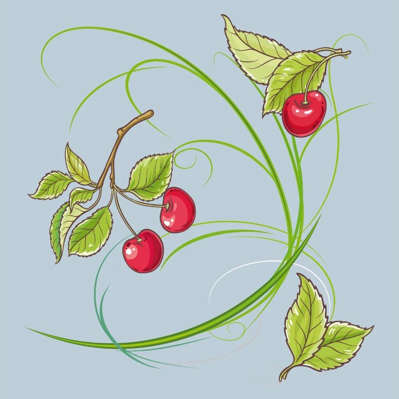 Kirschen,Obst