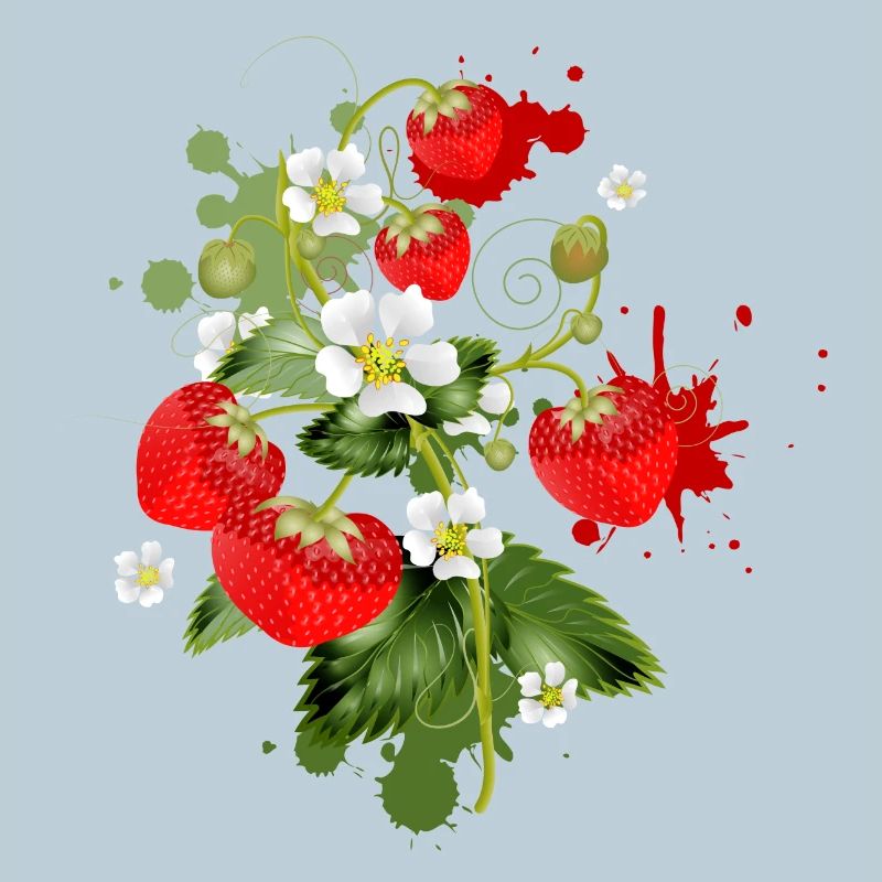 Erdbeeren Pflanze mit Erdbeeren Blüte Graffiti
