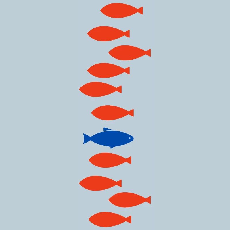 Single Fish