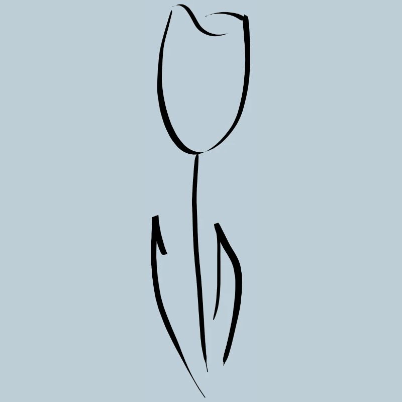 Tulipe
