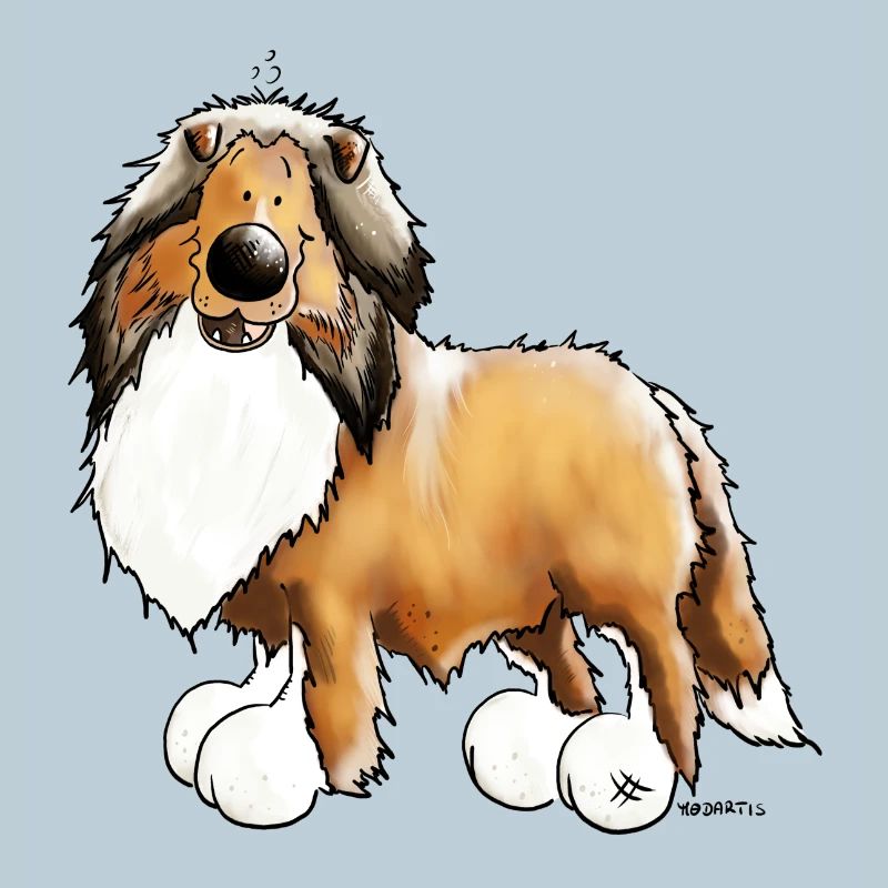 Collie - Rough Collie - Rough