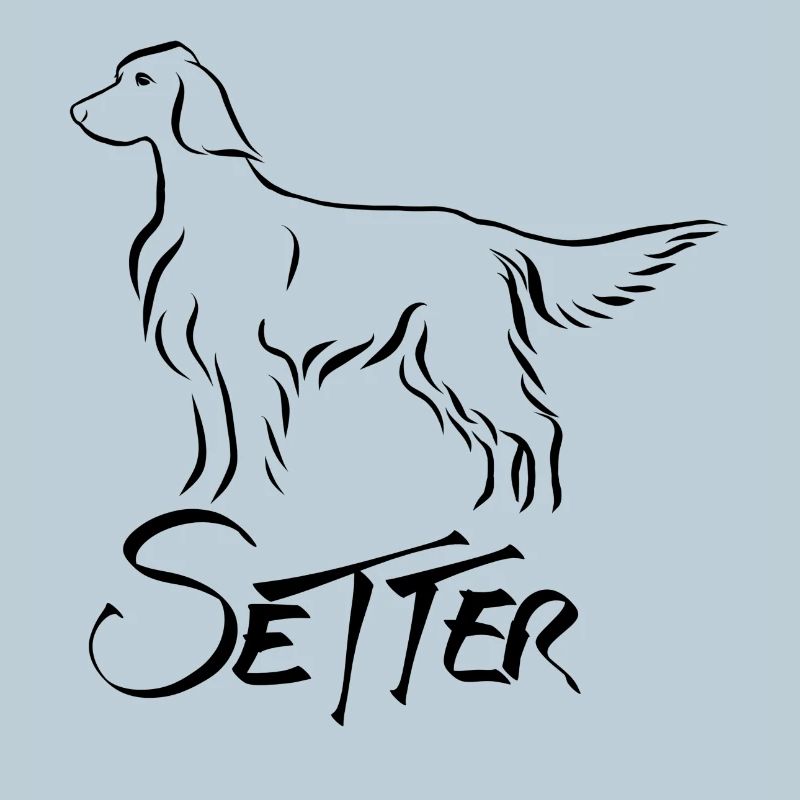 Setter stehend