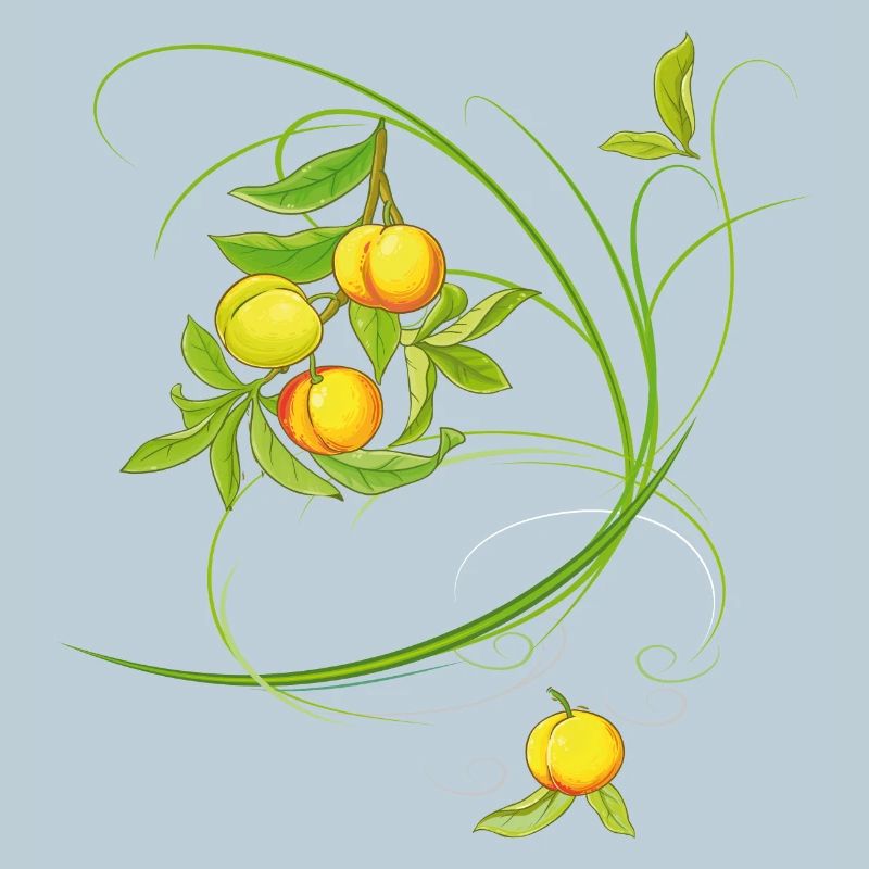 Peaches, fruit