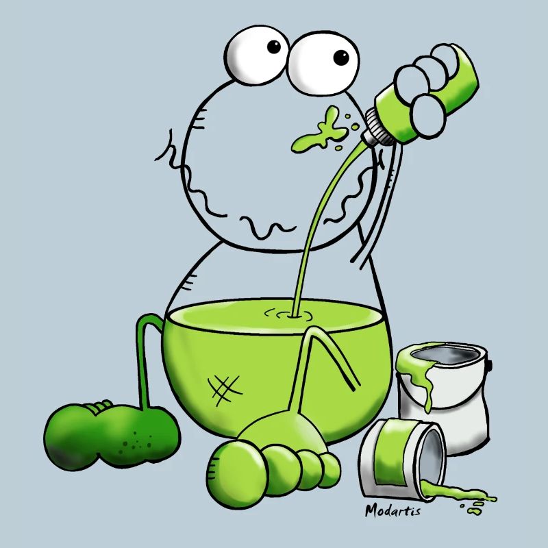 Grenouille Couleur