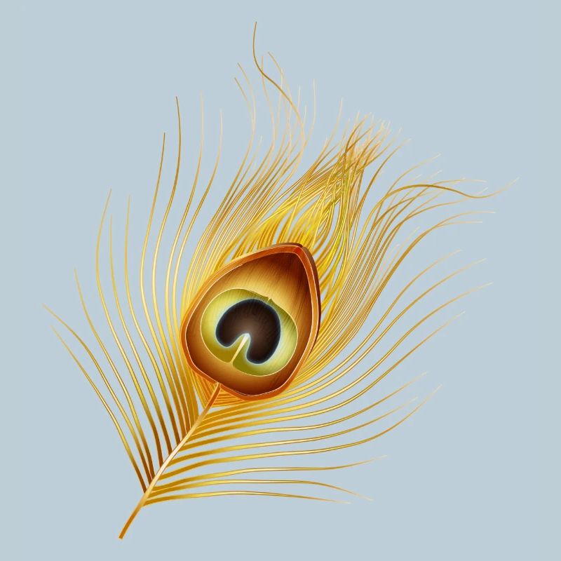 plume de paon dorée dessinée à la main