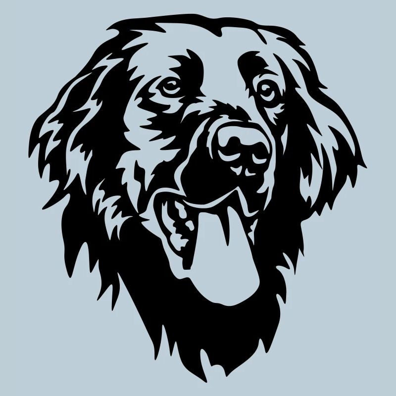 Flat-coated Retriever Head