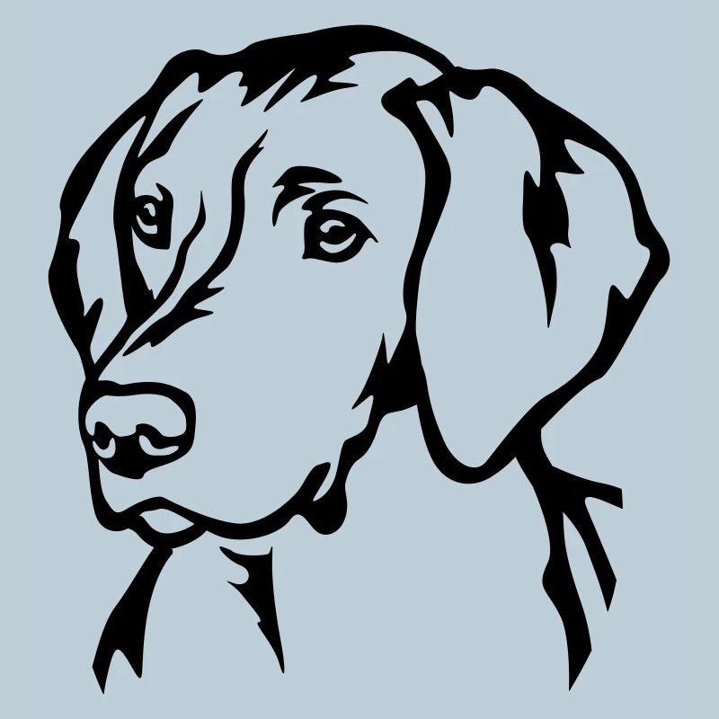 Magyar Vizsla Head