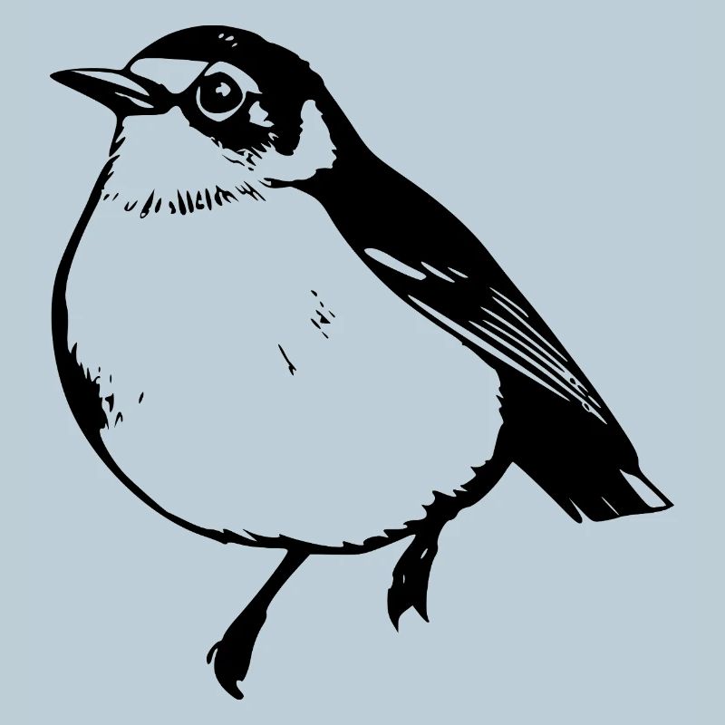 Bird Black Black Bird