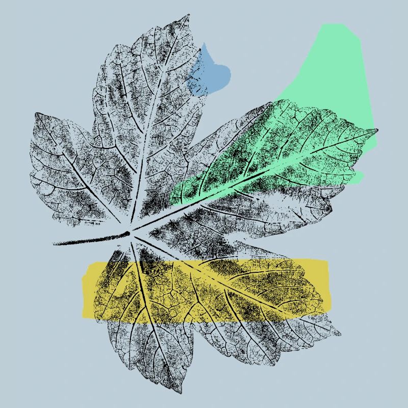 Leaf Maple - Abstrake Art
