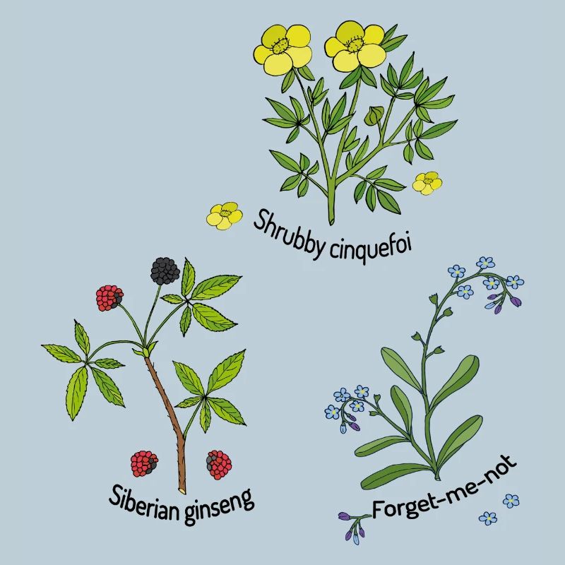 Natural herbs