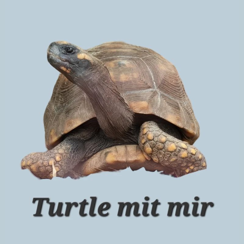 Turtle mit mir