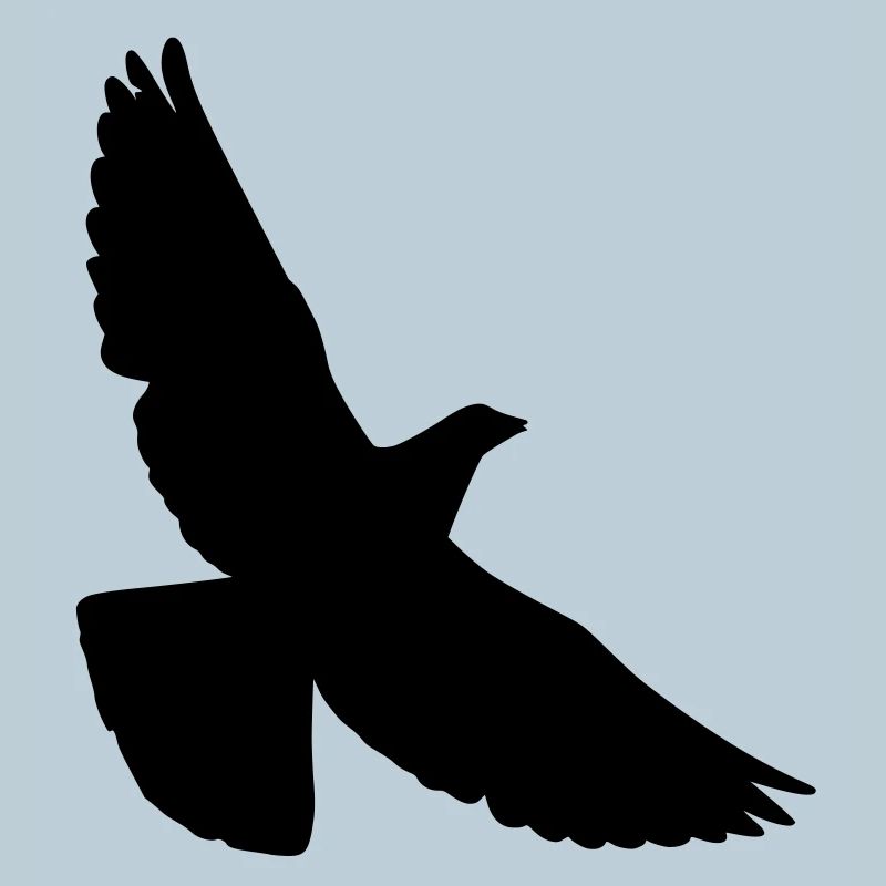 pigeon