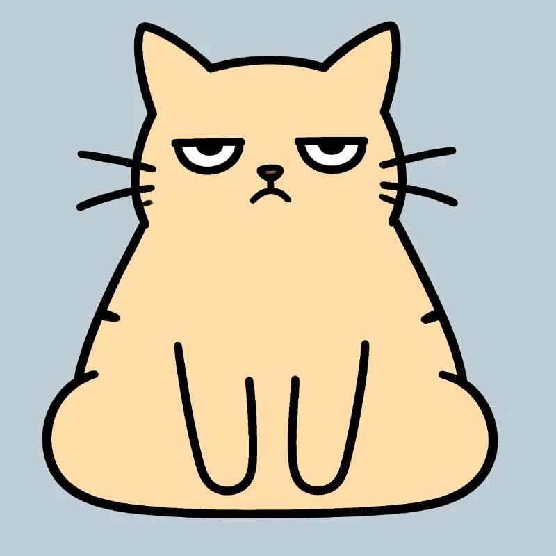 Chat du Salon Grognon