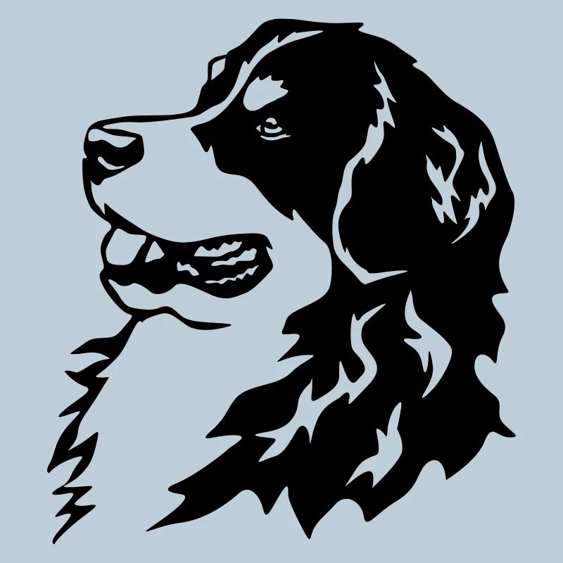 Berner Sennenhund Kopf