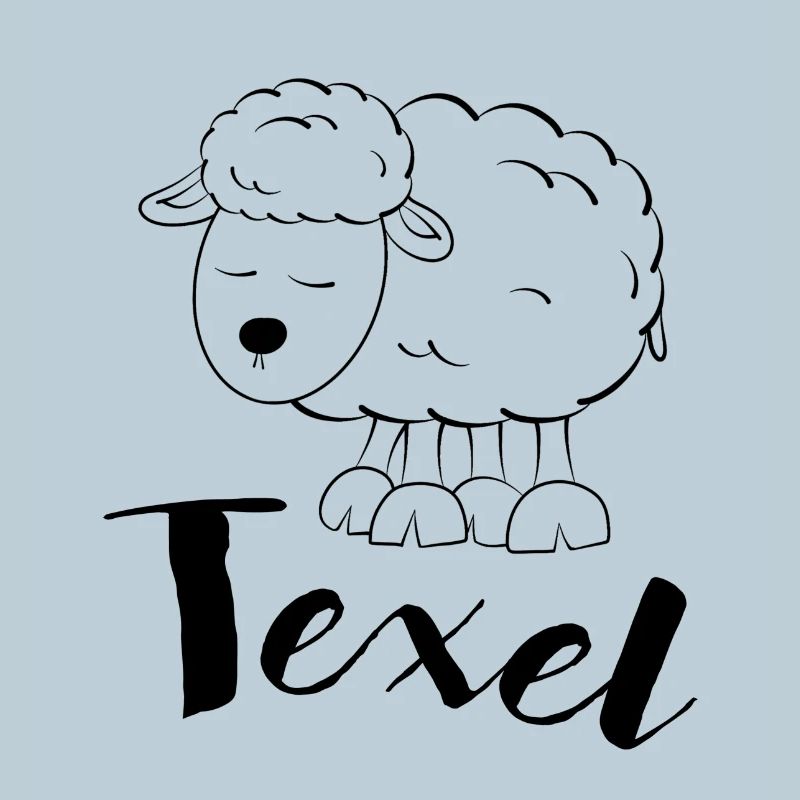 Texel Sheep