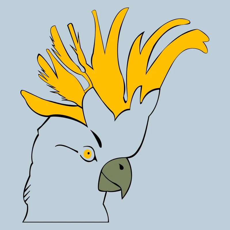 Perruche perroquet