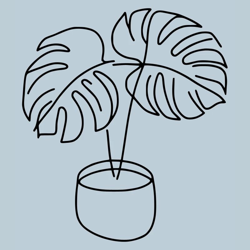 Monstera