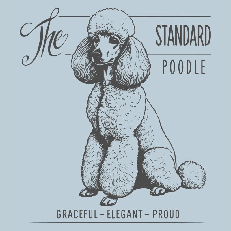 Standard Poodle Elegance and Pride