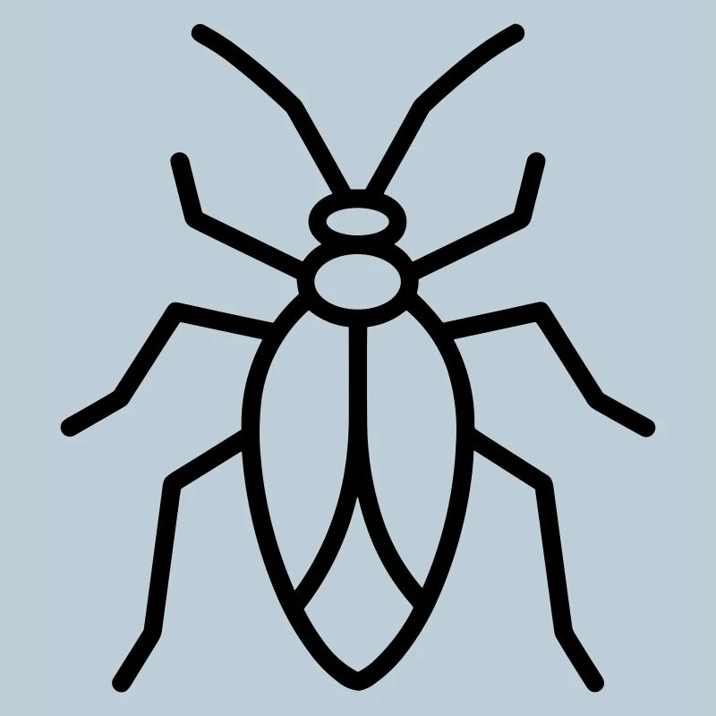Aphid