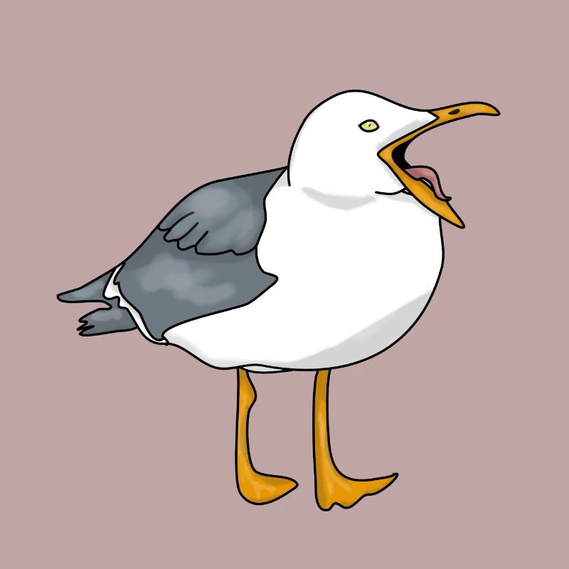 Möwe - Seagull