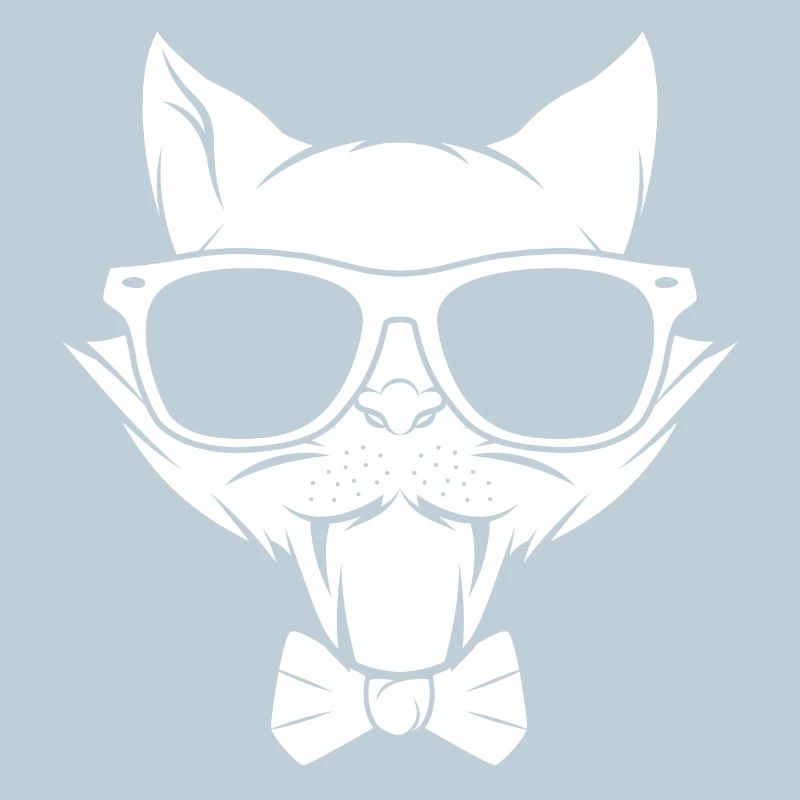 Chat chaton miaou chat domestique oeil de chat