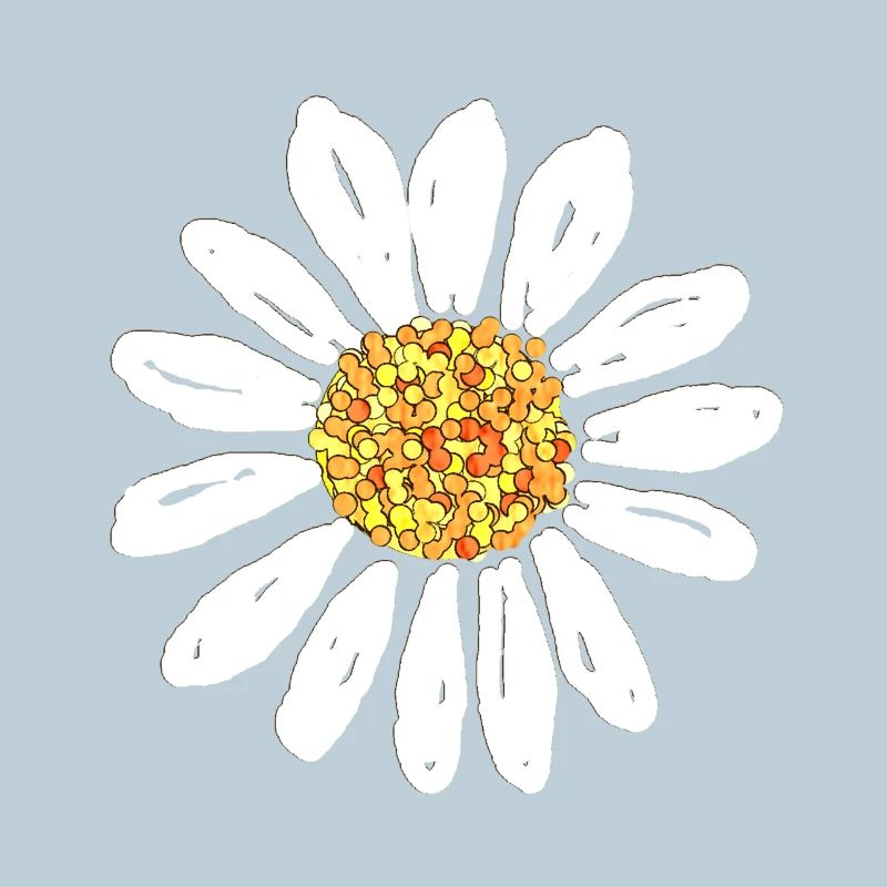 Fleur de marguerite