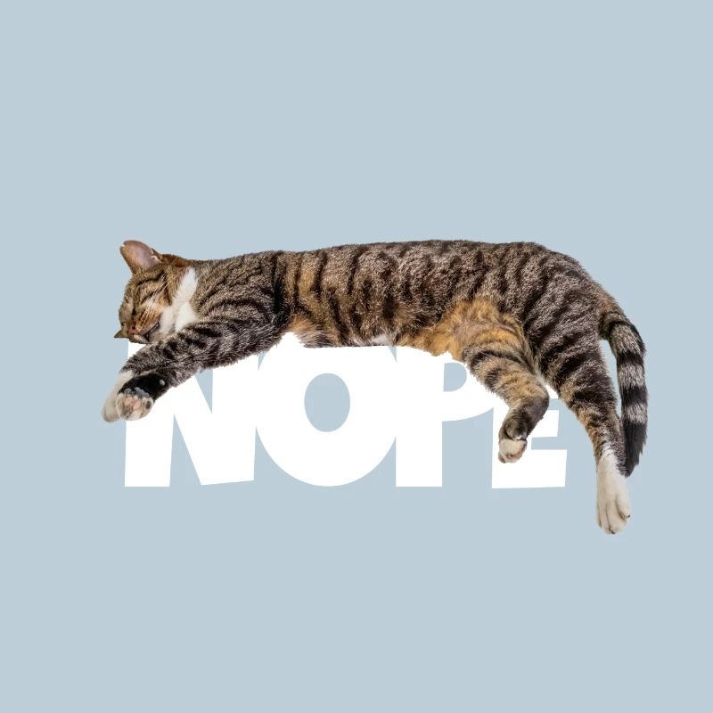 Nope Katze