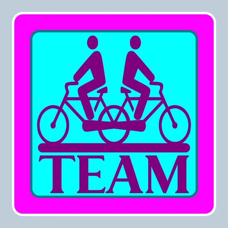 TEAM PROBLEMS - BIKE