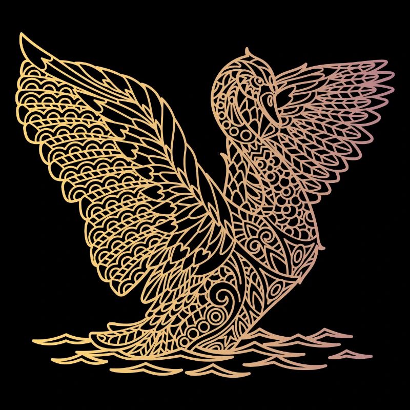 landing swan