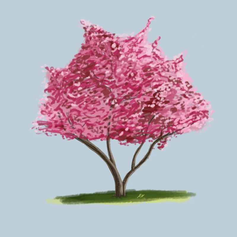 Cherry Sakura Pink Floral Tree