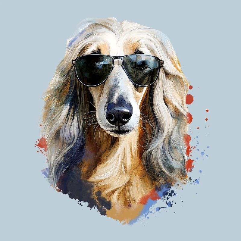 Afghanischer Windhund mit Sonnenbriller