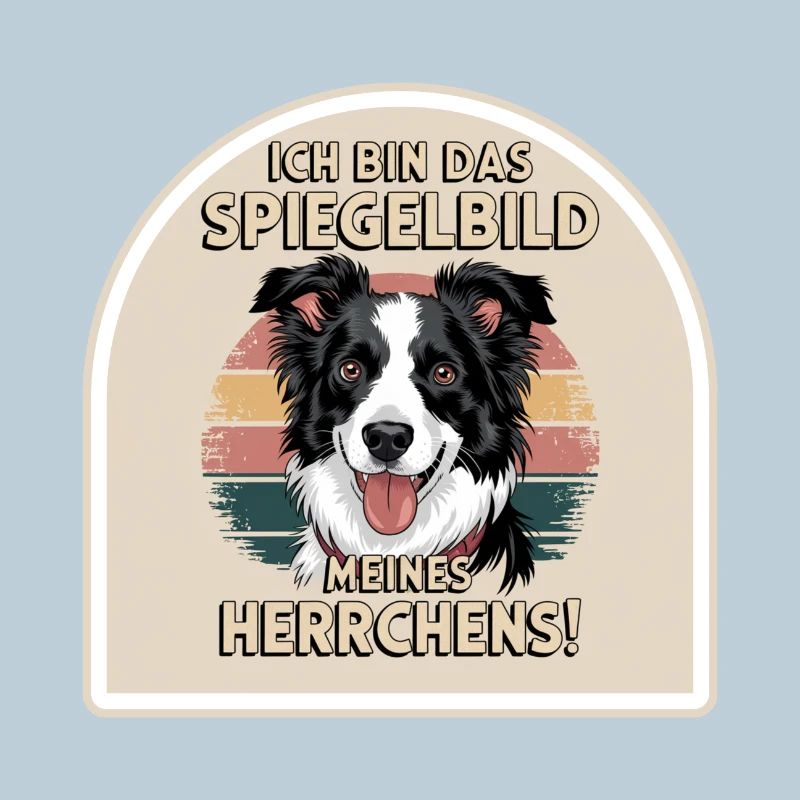Border Collie Dog Reflection of My Master