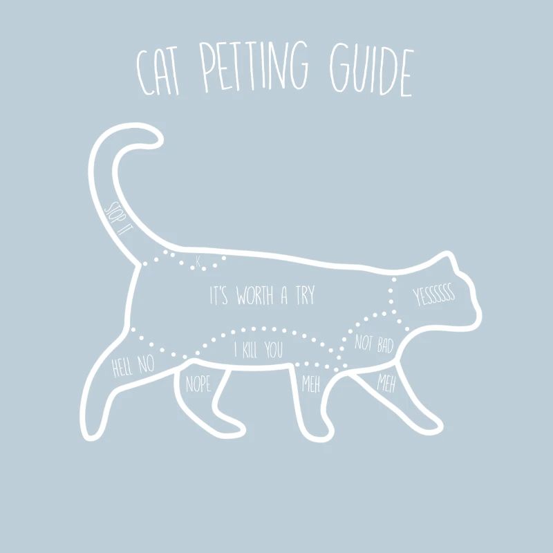 Guide de caresses pour chat