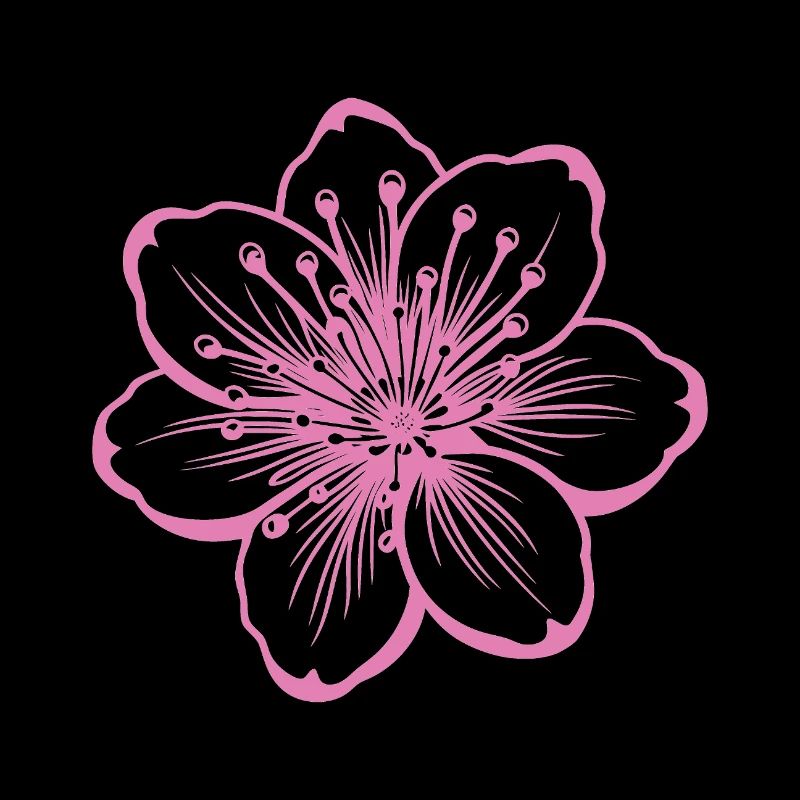 Kirschblüte