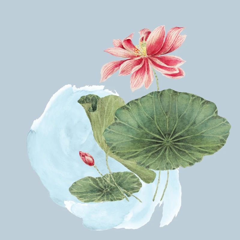 Magie de la Fleur d’Aquarelle en Nénuphar