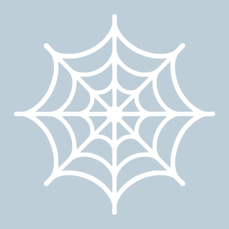 Spinnennetz Spinne