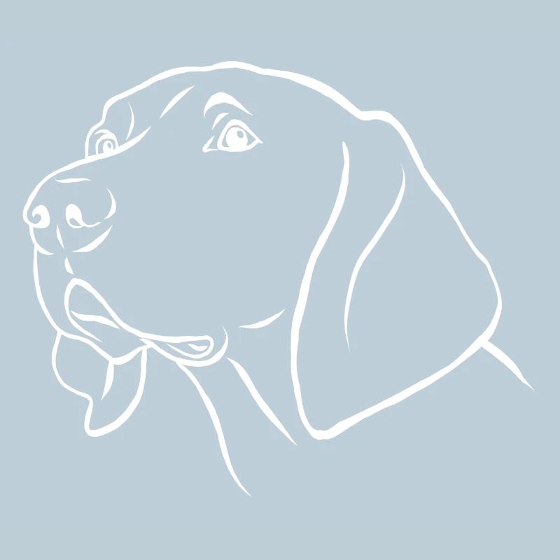 Weimaraner
