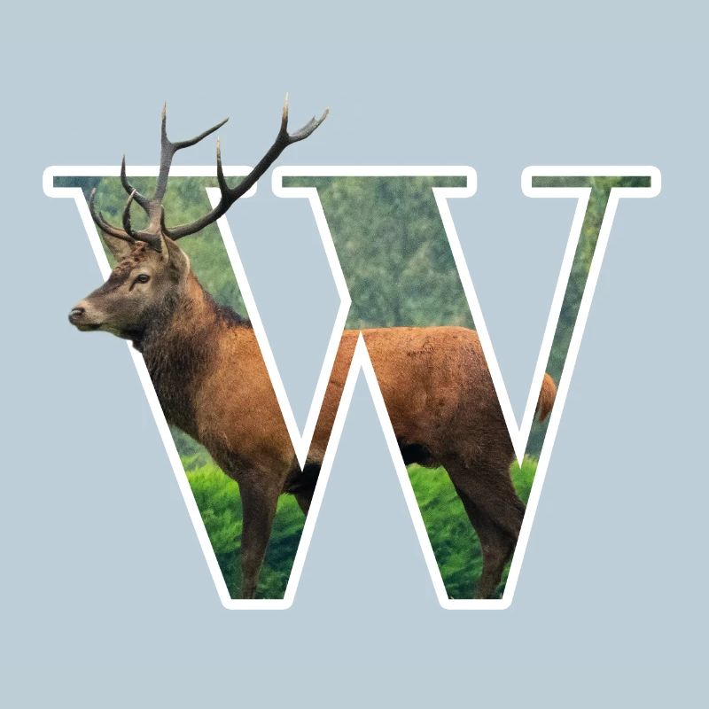 W Wapiti alphabet animaux