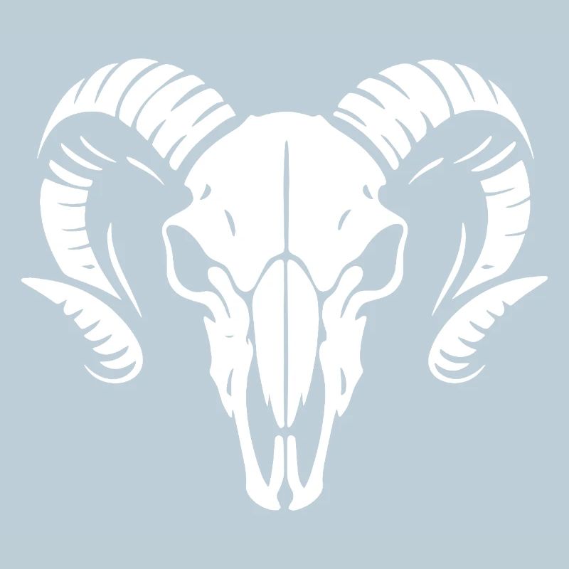 Widderkopf Schädel mit Hörnern - Rammbock