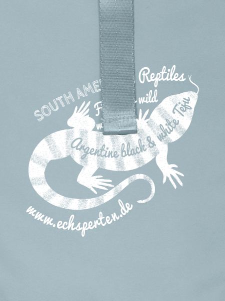 South American lizard