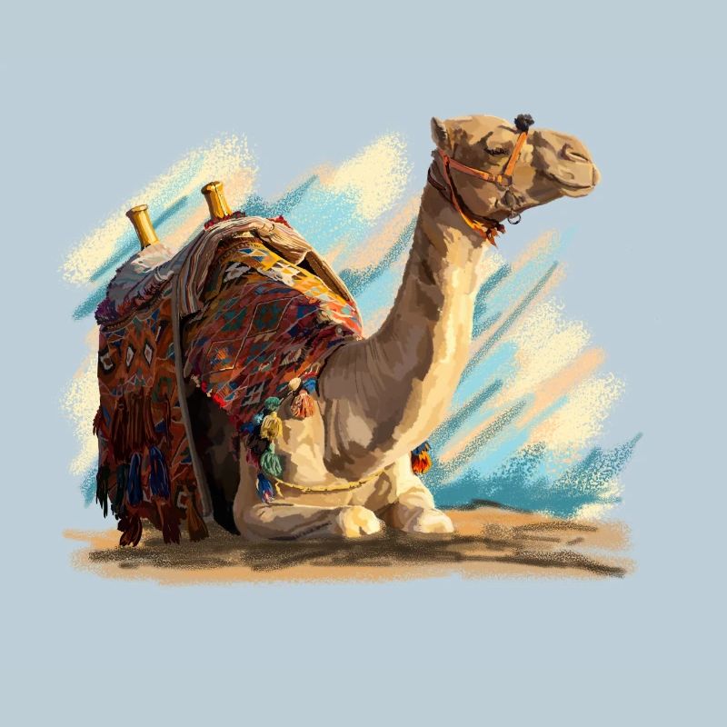 Camel