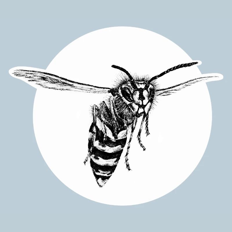 Guêpe - Abeille - Insecte