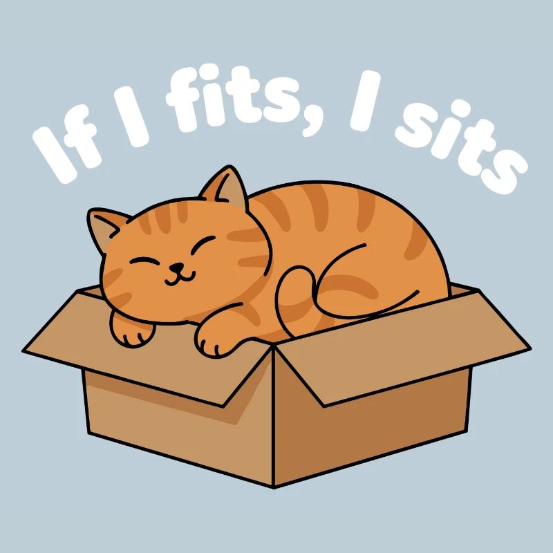 Cat Purr in Cardboard Meme