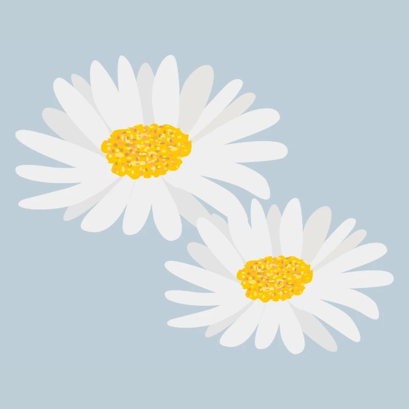 Marguerites de fleurs