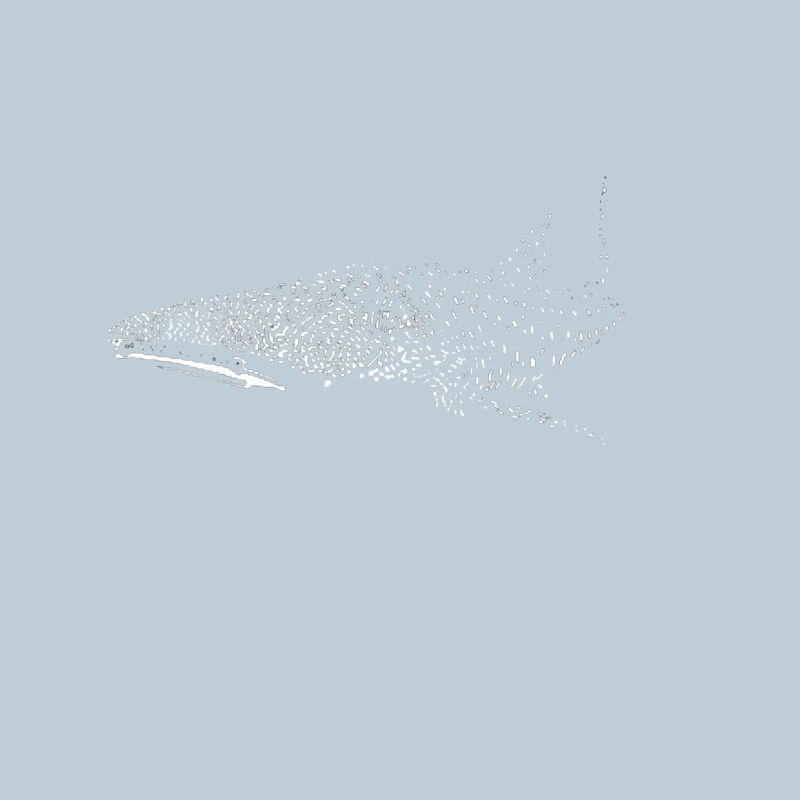 Requin-baleine