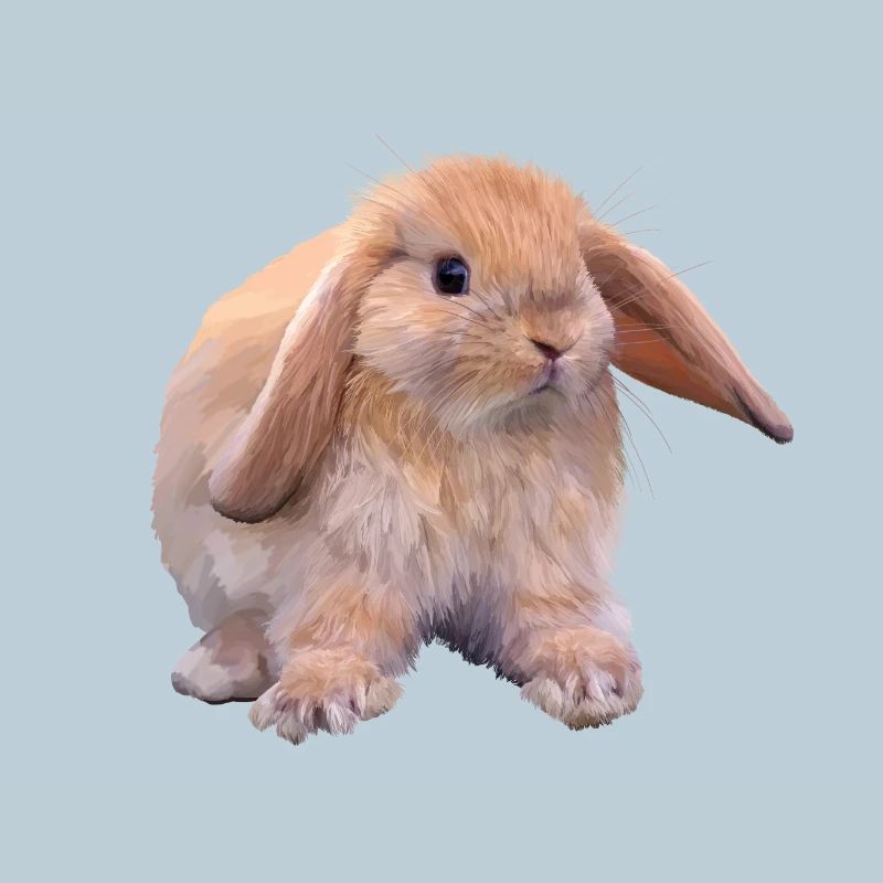 Lapin