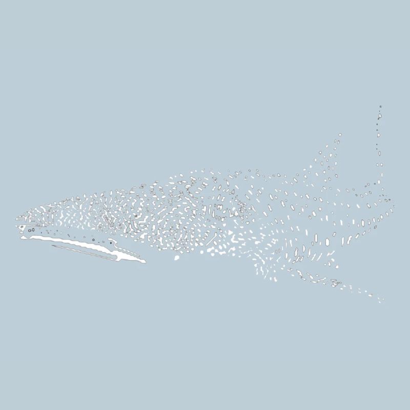 Requin-baleine