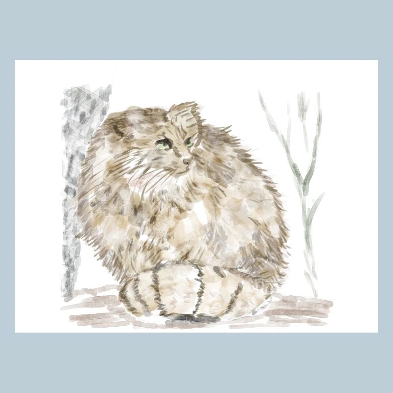 Manul wild cat