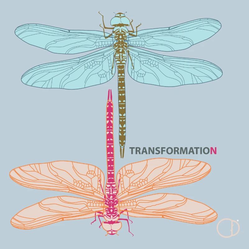 Libellules et transformation par CD